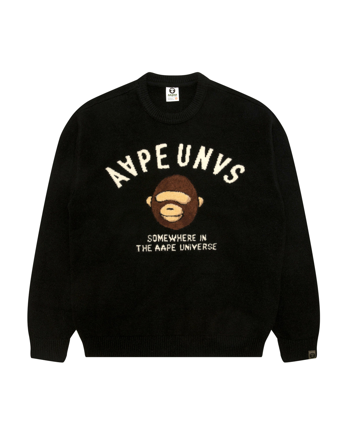 AAPEUNVS Graphic Knit Sweater
