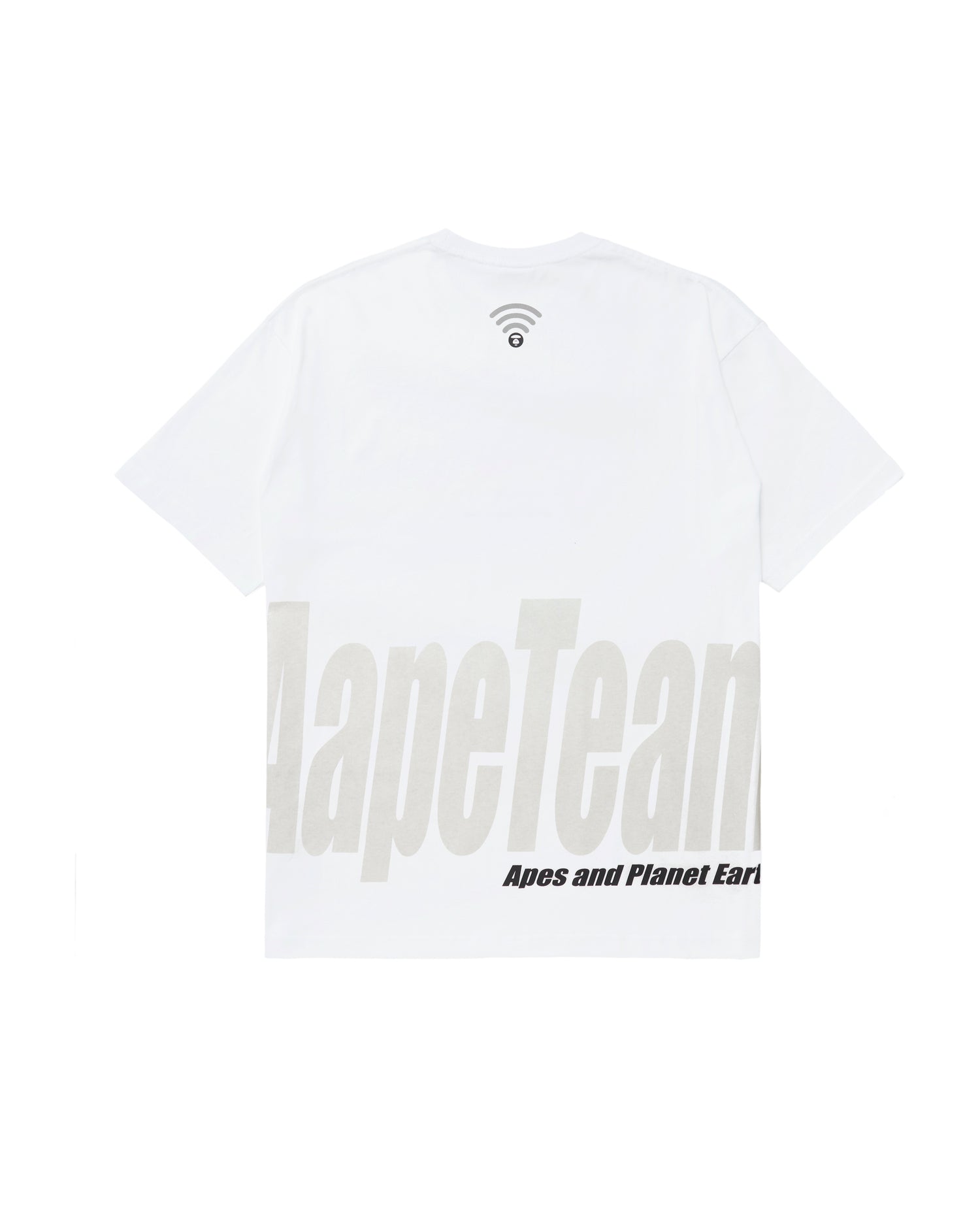 AAPTEM1286XXKWHX-pdp-2.jpg