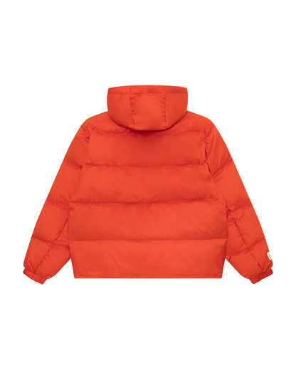 AAPENOW down jacket