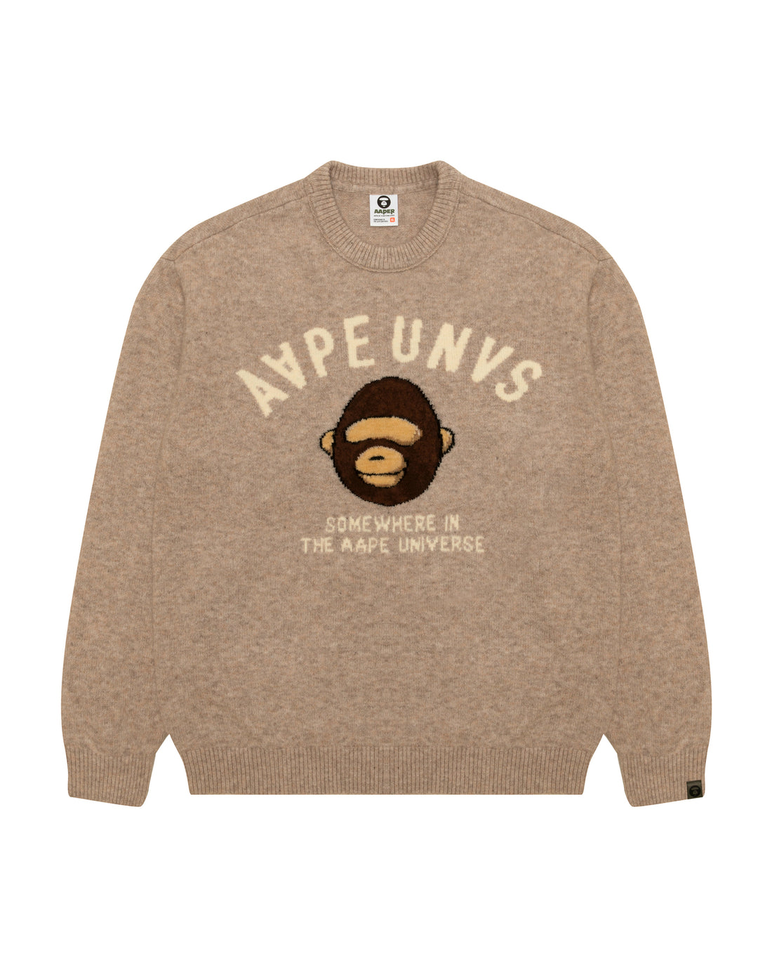 AAPEUNVS Graphic Knit Sweater