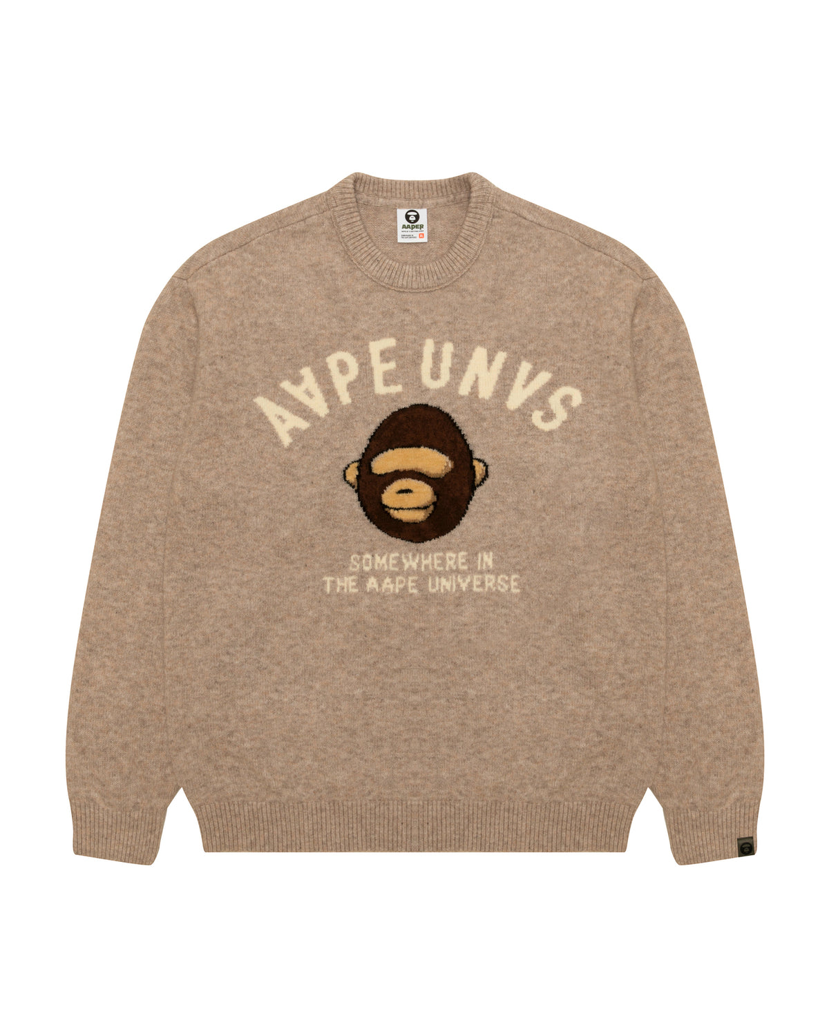 AAPEUNVS Graphic Knit Sweater