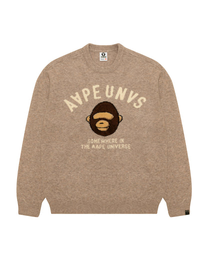 AAPEUNVS Graphic Knit Sweater