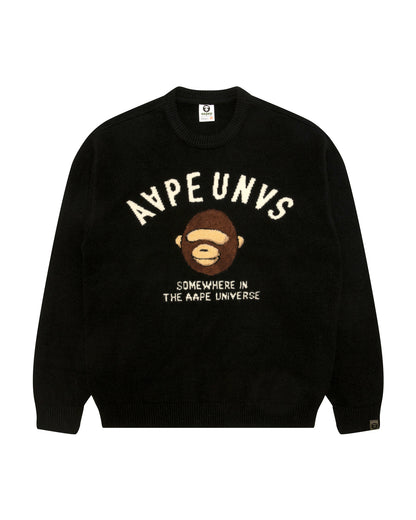 AAPEUNVS Graphic Knit Sweater