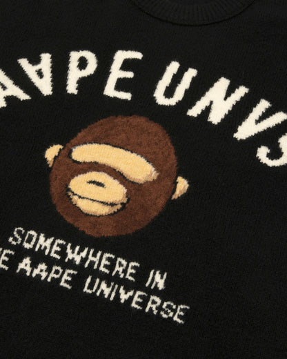AAPEUNVS Graphic Knit Sweater