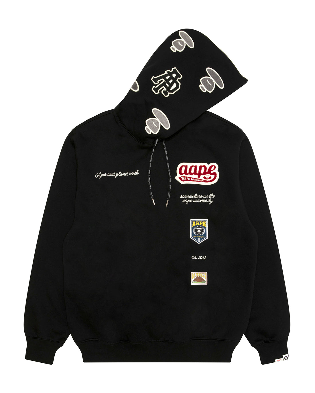 AAPEUNVS graphic hooded sweatshirt