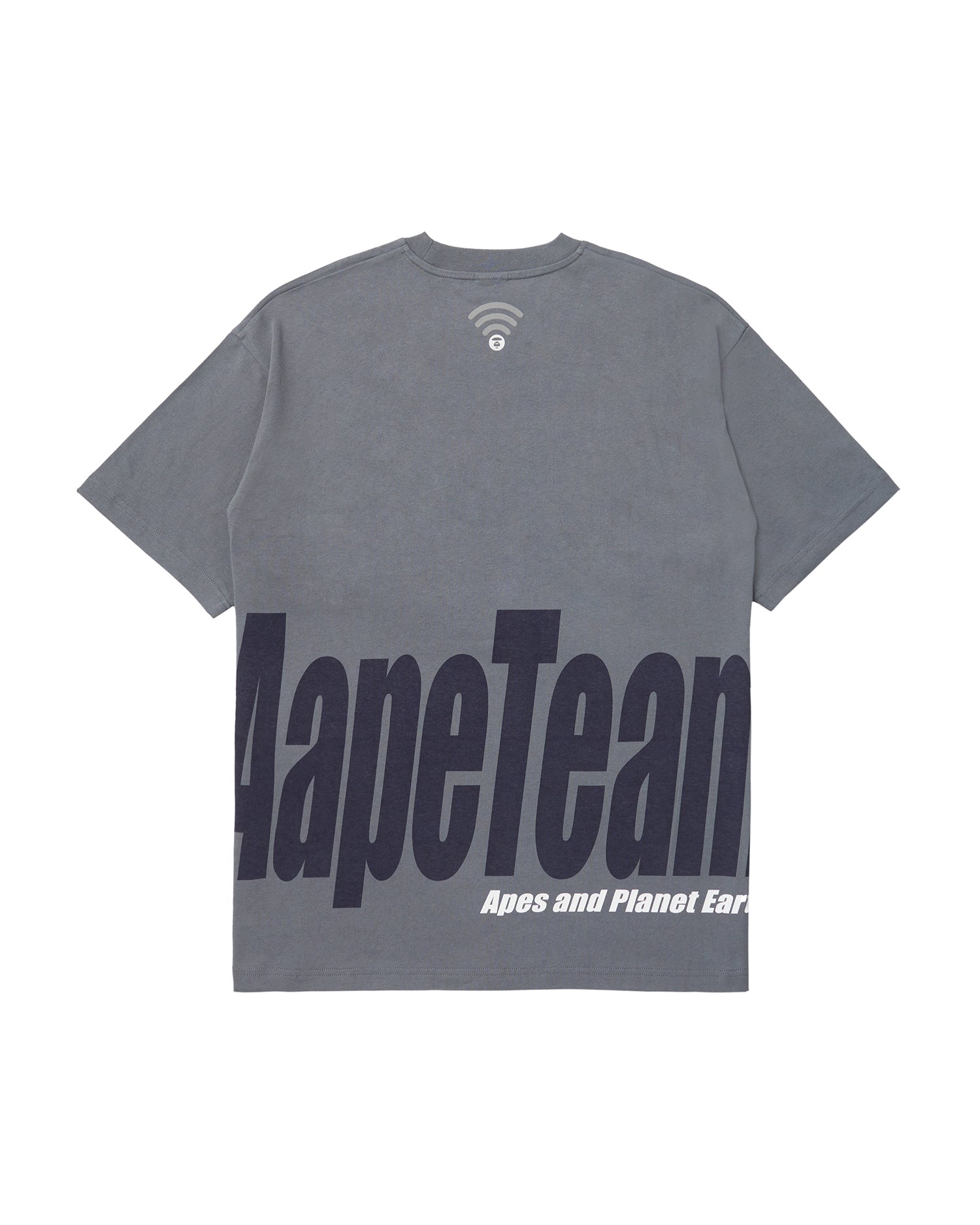 AAPTEM1286XXKGYL-pdp-2.jpg