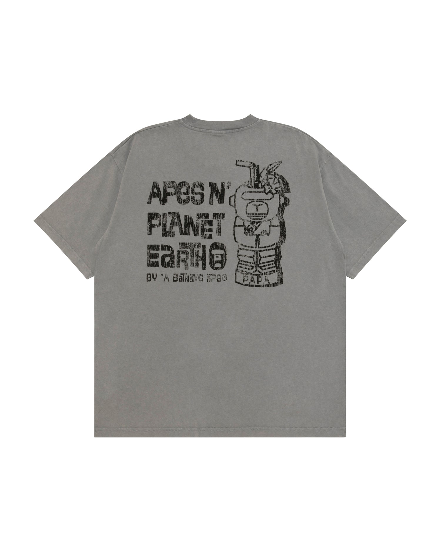 AAPTEM1832XXQGYL-pdp-2.jpg