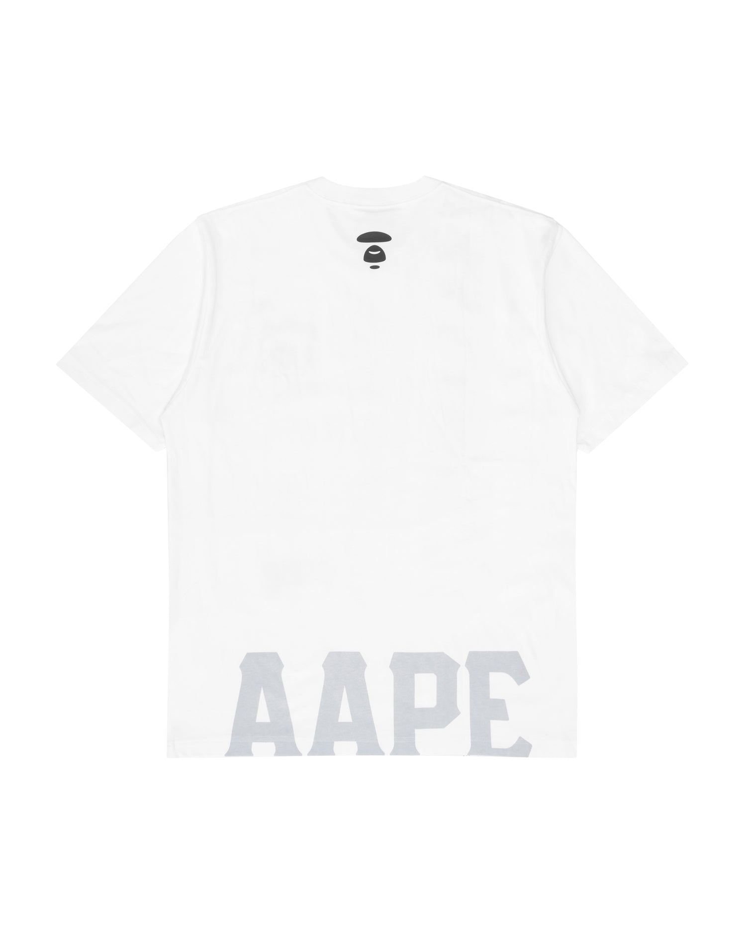 AAPTEM1340XXKWHX-pdp-2.jpg